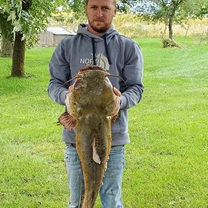 Meet your Posher, Jake